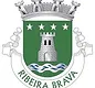 CM_Rib_Brava_Logo