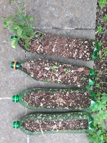 760736_4929cfee115943108bce78025289ec2b~mv2