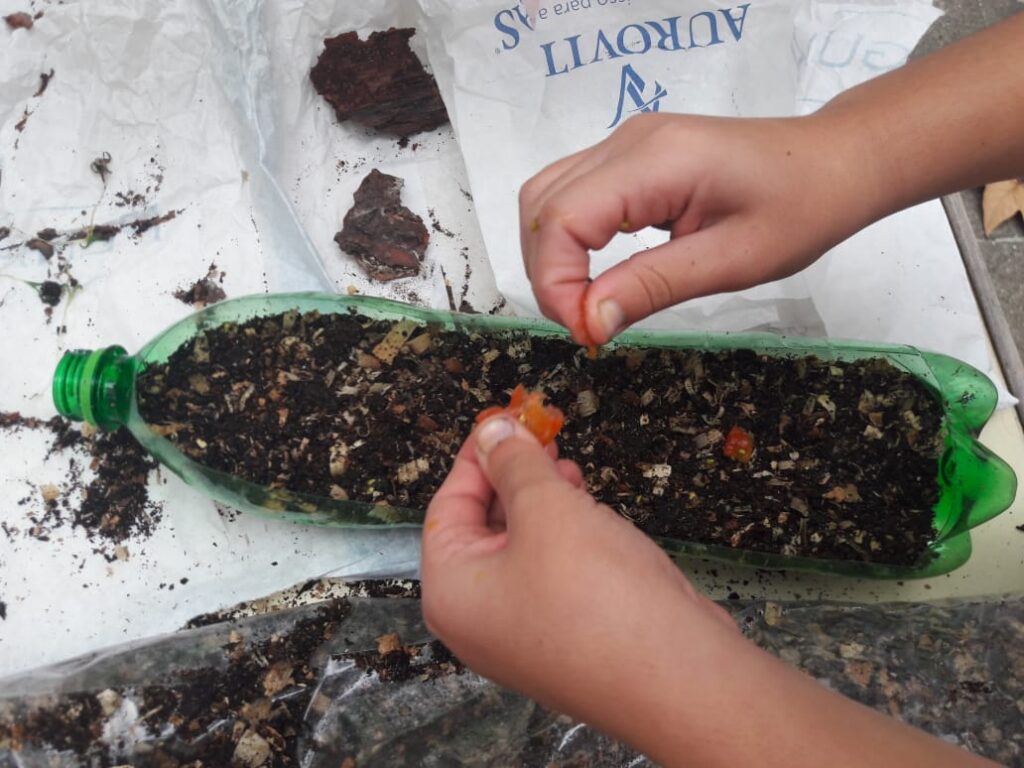 760736_e77029ca484742e08614389cf770e89e~mv2